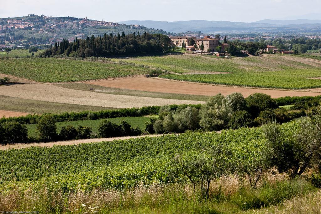 Tenuta Di Petriolo Guest House Torrita di Siena Bagian luar foto
