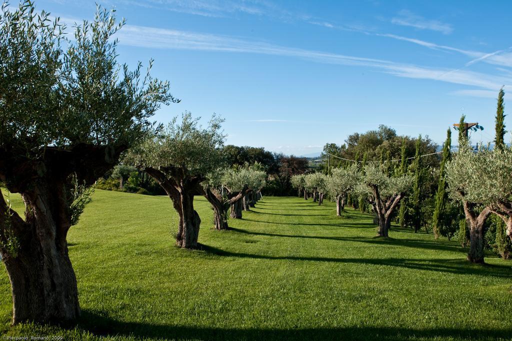 Tenuta Di Petriolo Guest House Torrita di Siena Bagian luar foto