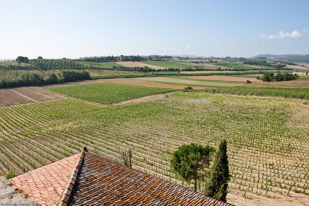 Tenuta Di Petriolo Guest House Torrita di Siena Bagian luar foto