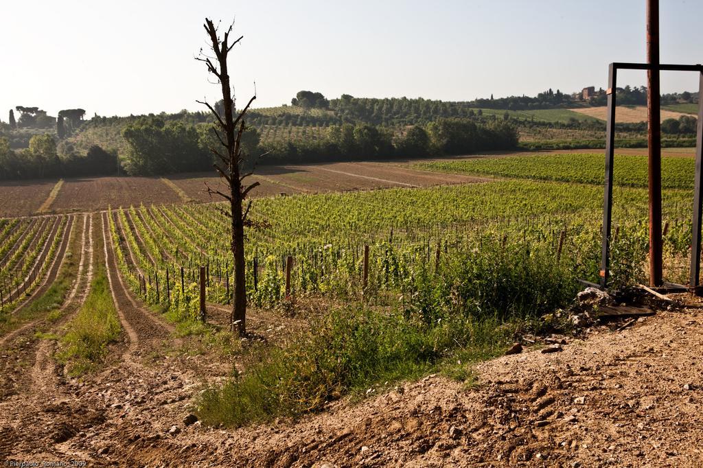 Tenuta Di Petriolo Guest House Torrita di Siena Bagian luar foto